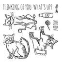 Sizzix Cat Chat Tim Holtz Alterations Stamp, Die & Texture Fade