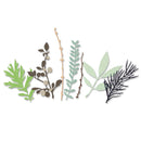 Sizzix Hidden Leaves Thinlits Die Set by Sophie Guilar 9PK