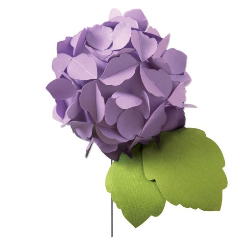 Sizzix Hydrangea Bigz Die