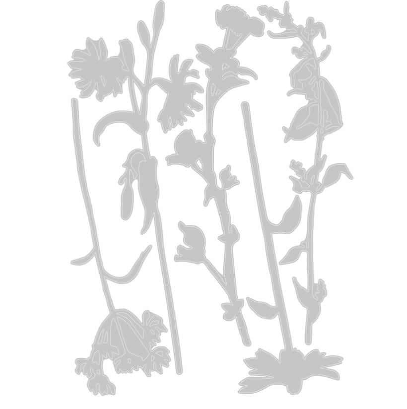 Sizzix Wildflower Stems #3 Thinlits Die by Tim Holtz 5Pk