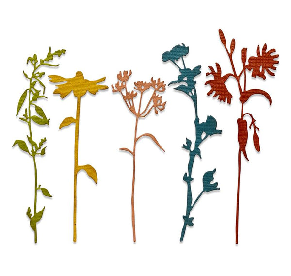 Sizzix Wildflower Stems #3 Thinlits Die by Tim Holtz 5Pk