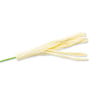 Sizzix Thinlits Die Set 7PK - Garden Rose