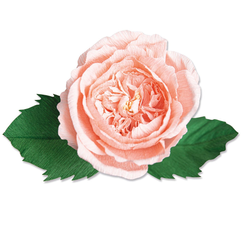 Sizzix Thinlits Die Set 7PK - Garden Rose