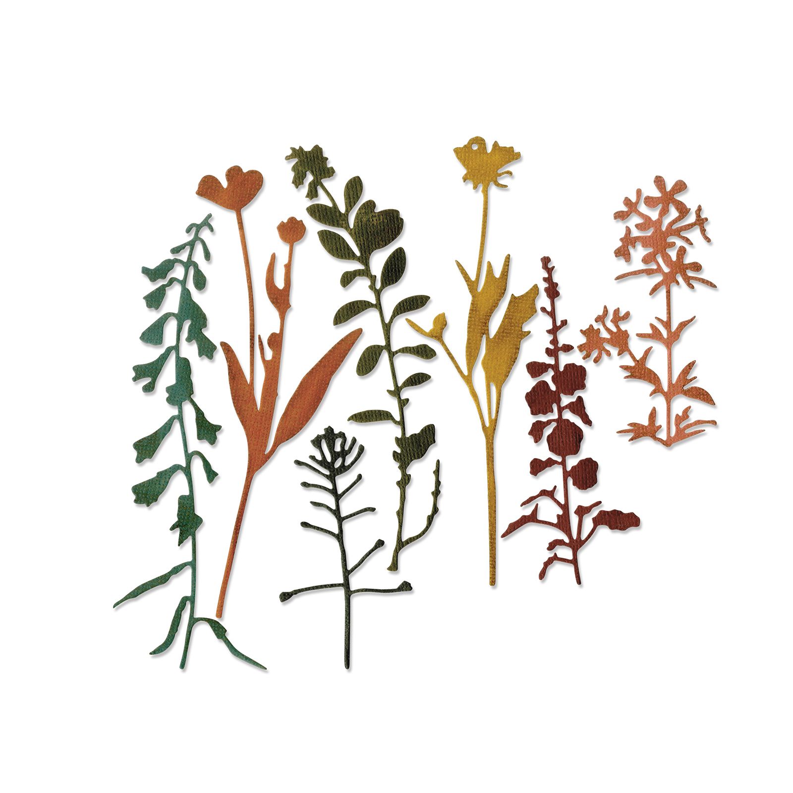 Sizzix Thinlits Die Set 7PK - Wildflowers #2 by Tim Holtz