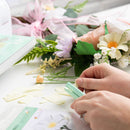 Sizzix Thinlits Die Set 8PK - Daisy Flower Mix