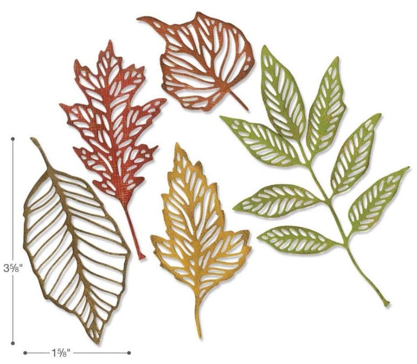 Sizzix Skeleton Leaves by Tim Holtz Thinlits Die