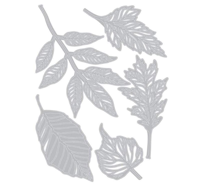Sizzix Skeleton Leaves by Tim Holtz Thinlits Die