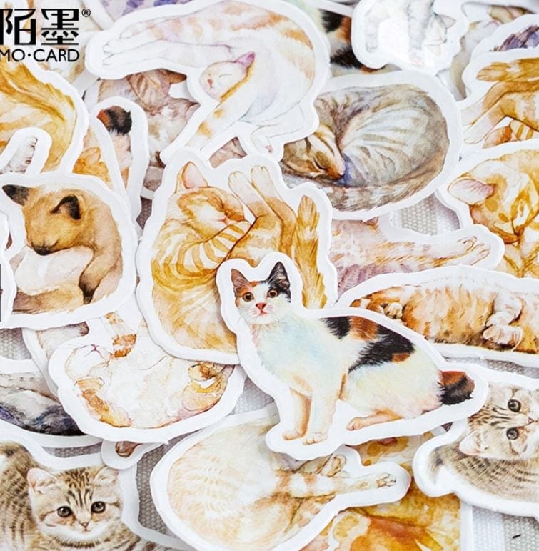 MoCard Spoiled Cats Sticker Flakes in a Box