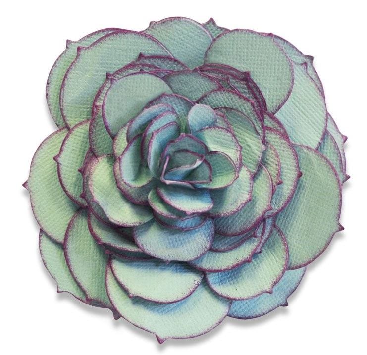 Sizzix Succulent Bigz Die
