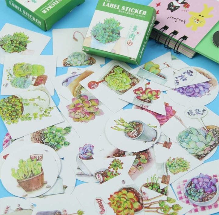 Succulent Love Sticker Flakes in a Box