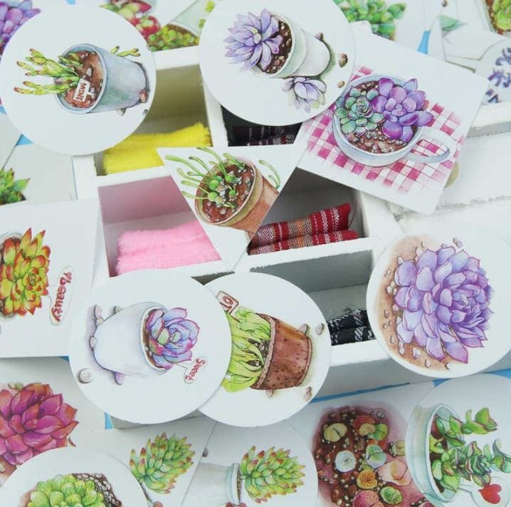 Succulent Love Sticker Flakes in a Box