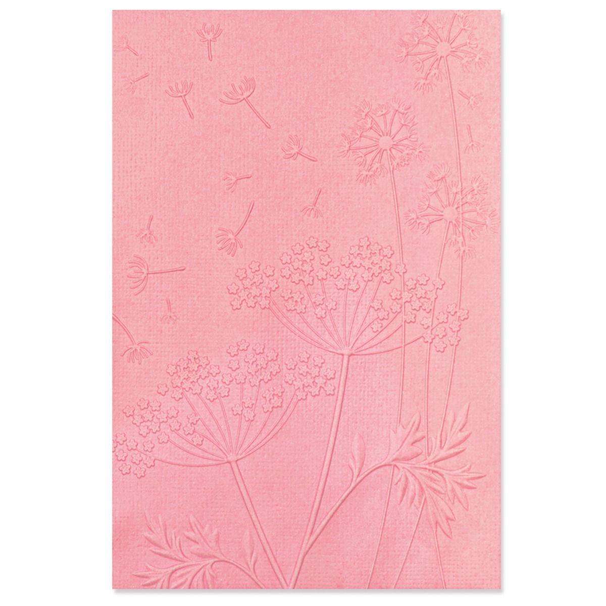 Sizzix Summer Wishes 3-D Textured Impressions Embossing Folder by Kath Breen