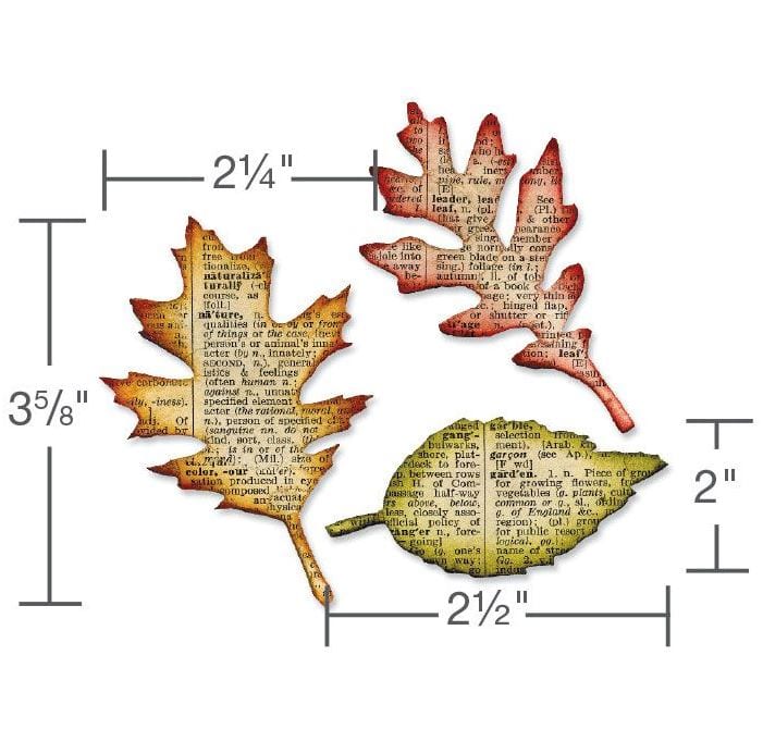 Sizzix Tattered Leaves by Tim Holtz Bigz