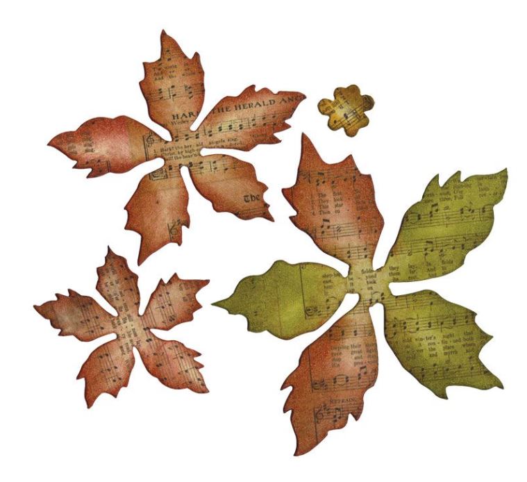 Sizzix Tattered Poinsettia Bigz Die by Tim Holtz
