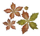 Sizzix Tattered Poinsettia Bigz Die by Tim Holtz