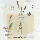 Infeel Me Glass Jar and Bottles Transparent PET Stickers