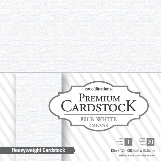 Core'dinations 80lb White Canvas Cardstock Value Pack12"X12" 20/Pkg