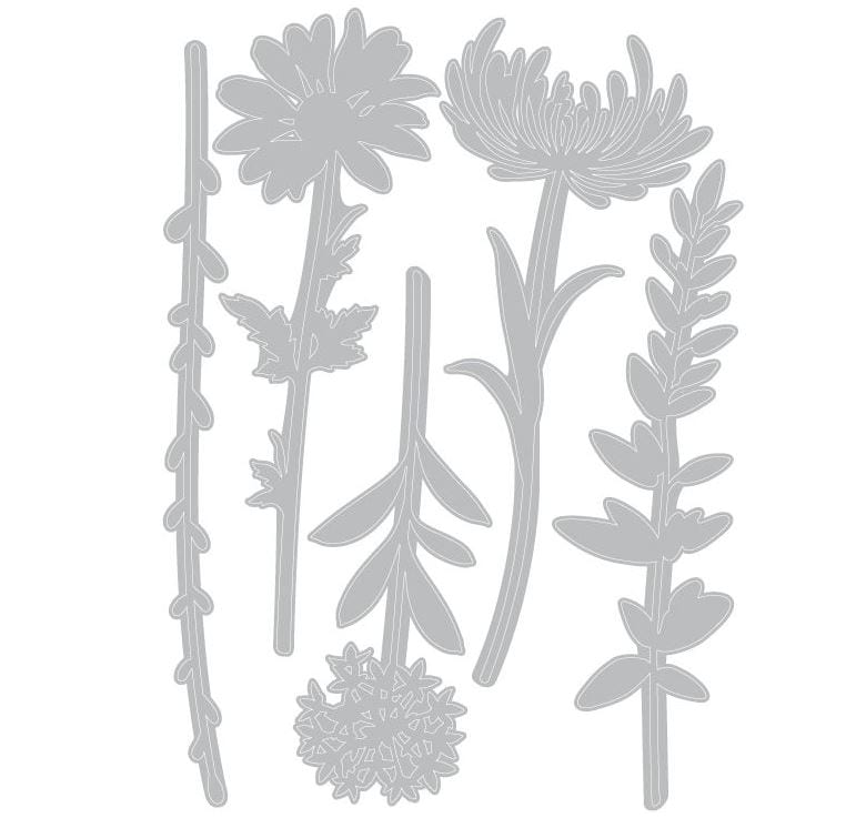 Sizzix Wildflower Stems No. 1 by Tim Holtz Thinlits 5/Pk