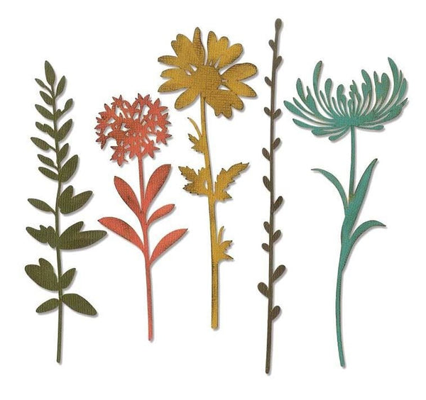 Sizzix Wildflower Stems No. 1 by Tim Holtz Thinlits 5/Pk