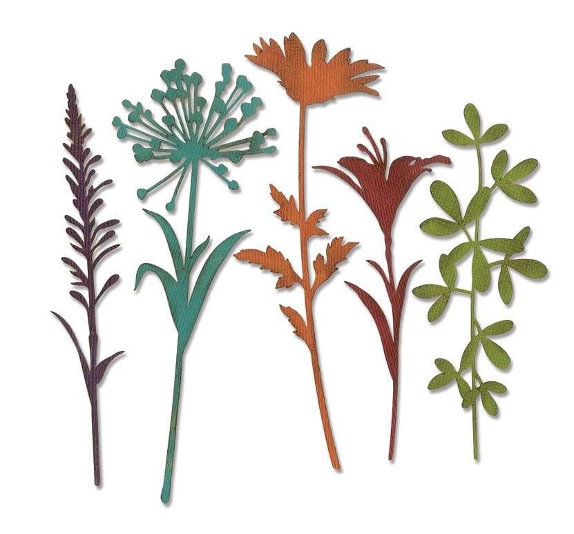 Sizzix Wildflower Stems #2 Tim Holtz Thinlits Die Set 5PK