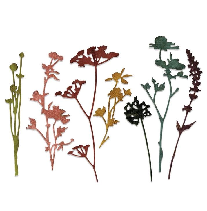 Sizzix Wildflowers Tim Holtz Alterations Thinlits Die Set