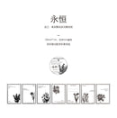 YuXian Beautiful Moment Series Paper Tape
