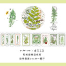 YuXian Natural Prologue Series Paper Tape 5cm x 2m