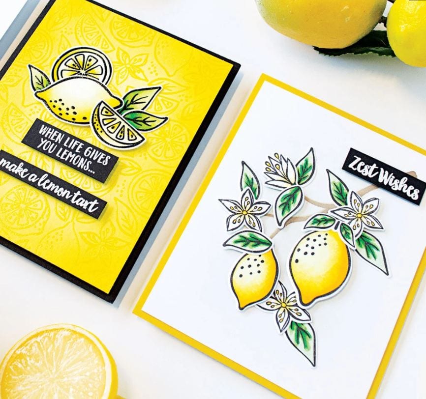 Hero Arts Zest Wishes Stamp Set CM417