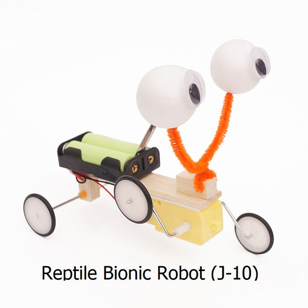 Reptile Bionic Robot J-10 Standard STEM Toy Kit