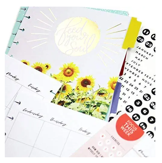 Wellness Happy Planner 6-Month Undated Medium Planner Extension Pack